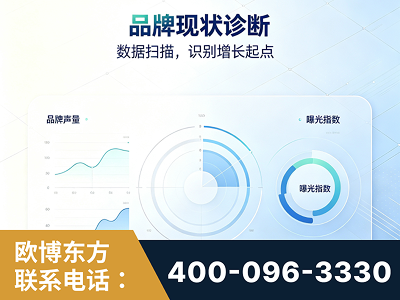 双鸭山-品牌现状诊断